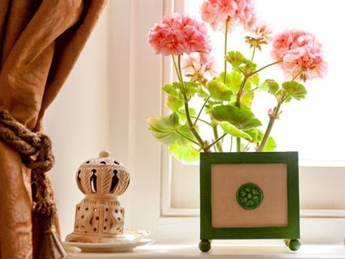 Belmont Bed & Breakfast นิวตันแอบบ็อต ภายนอก รูปภาพ